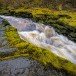 Bolton Abbey 071109_6_1